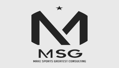 banner-2 MSG Vonsulting